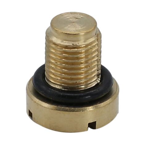Vis de purge du vase d'expansion du liquide de refroidissement en laiton, remplacement pour la plupart des modèles BMW E36, E39 et E46 (1/4)