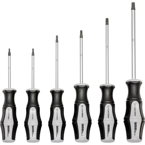 WGB Schraubenzieher Set - Schraubendreher Torx, S-2 Stahl verchromt - 6-teilig TX10-40 (1/3)