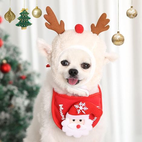 Christmas costume for pets, Christmas clothes for dogs, adorable Santa hat (1/5)
