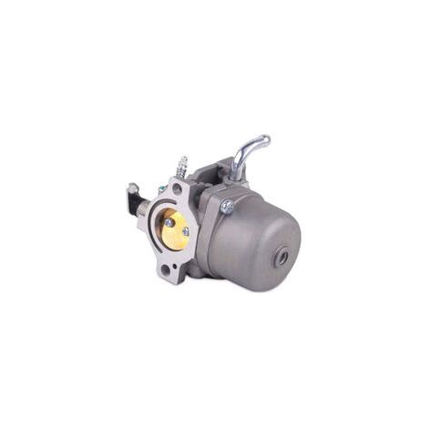 Carburateur DOLASO pour Briggs & Stratton 590399 796077 Eng