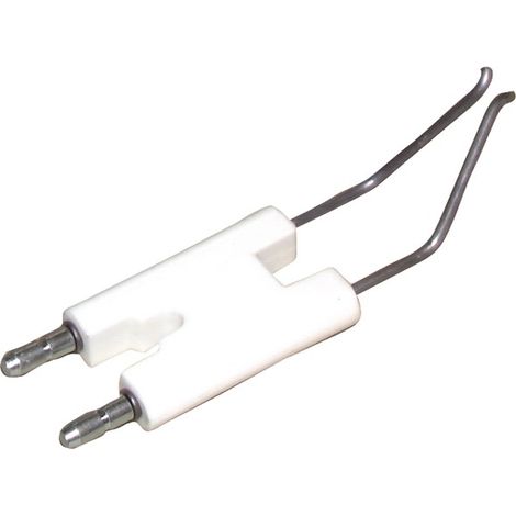 Gruppo elettrodi WL20A - DIFF per Weishaupt : 2412001026/7 (1/2)