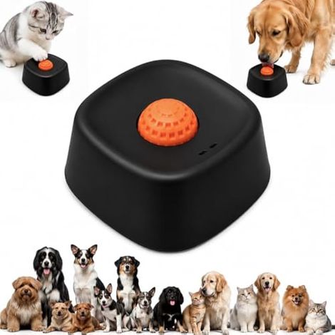 Lick Bowl pour Chiens, Bol à Lécher Antidérapant (1/5)