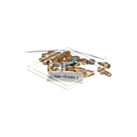 Kit de conversion gaz 31  21