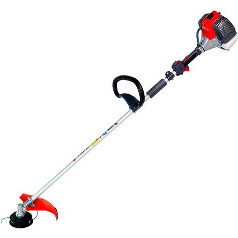 Decespugliatore Efco DS 3000 S 30 cc 1,5 Hp (1/2)