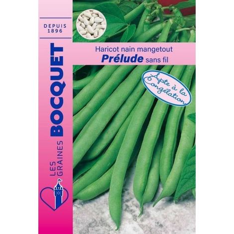 Haricot nain mangetout Prélude - 100g