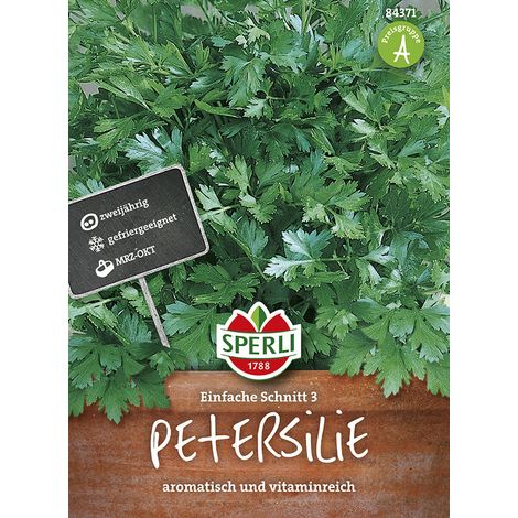 Sperli – Persil plat Einfache Schnitt 3 – Graines d'aromatiques, bisannuel, hauteur env. 30 cm (1/2)
