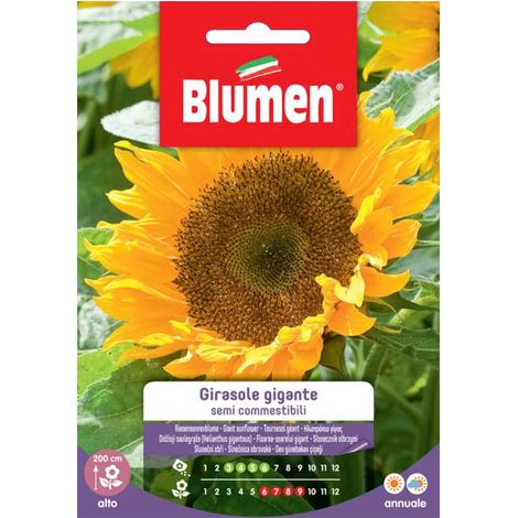 SEMI GIRASOLE SEMI COMMESTIBILI BLUMEN
