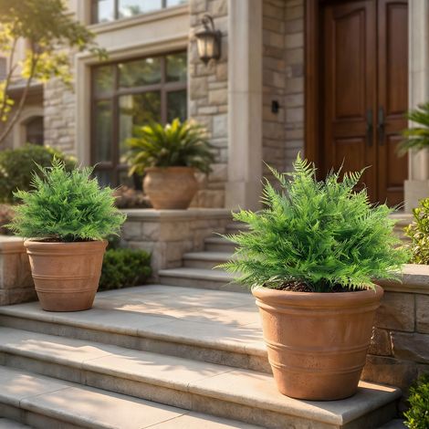Cespugli di felce di Boston artificiali, resistenti ai raggi UV, piante artificiali con tutori, set da 2, 60 cm per giardino e veranda.
