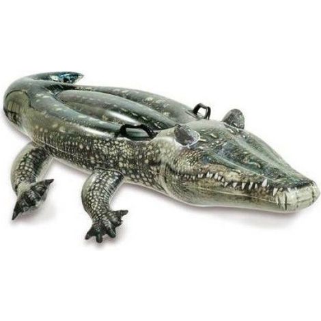 Bouée Alligator - 170 x 86 cm - Pour Enfants À Partir De 3 Ans - 1 Pièce (1/2)