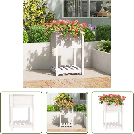 The Living Store Jardinière avec étagère Blanc 54x54x81 cm Bois massif de pin - Jardinier - Jardinière Extérieure - Pot De Fleurs Extérieur - Plante - Décoration Jardin (1/5)