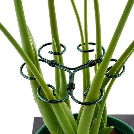 4 teilige Monstera Stützen aus Eisen einzigartig designte Pflanzenstäbe für Zimmerpflanzen, stabile Stützen und Stäbe, Bambusklammern in Schildpa (1/5)