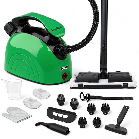 Nettoyeur vapeur multifonction, un nettoyeur vapeur manuel pour un usage domestique, adapté pour nettoyer les sols, canapés, joints de carrelage, fenêtres et diverses surfaces. (1/5)