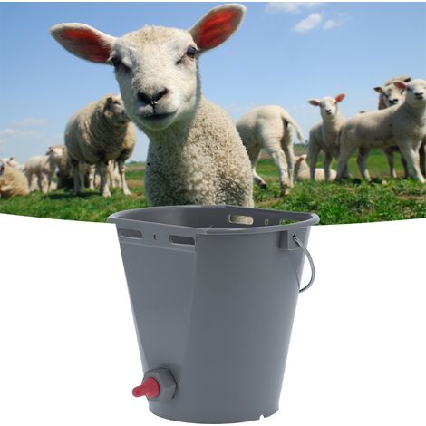 Seau d'alimentation avec tétine unique en plastique alimentaire pour l'alimentation des agneaux et autres animaux d'élevage. (1/5)