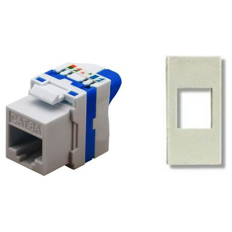 TechLy presa di rete RJ45 UTP CAT.6a tooless + Luna bianca