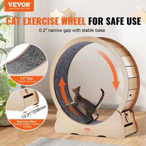 Roue d'Exercice pour Chat 1100 mm Grande Roue de Course d'Intérieur, avec Tapis Roulant Amovible, Teaser pour Chat pour Courir, Mar… (1/5)