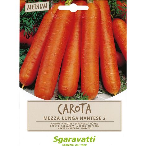 SEMI PER ORTAGGI E VEGETALI carota lunga nantese 2 Q.TA 20 carota lunga nantese 2