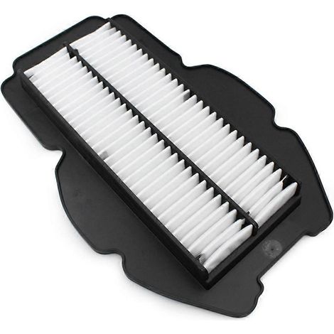Filtre à air de rechange pour moteur de moto HYOSUNG - Nettoyant inclus (1/5)