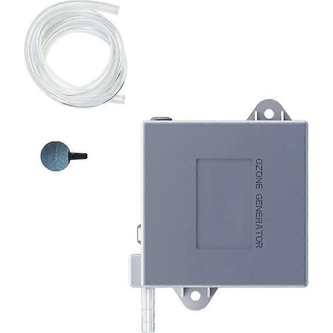 Ozongenerator mit Ausströmersteinen für Kaltwasserbäder, hocheffizienter 300 mg/h Wasserozonisator mit Ausströmersteinen, US-Stecker (1/5)