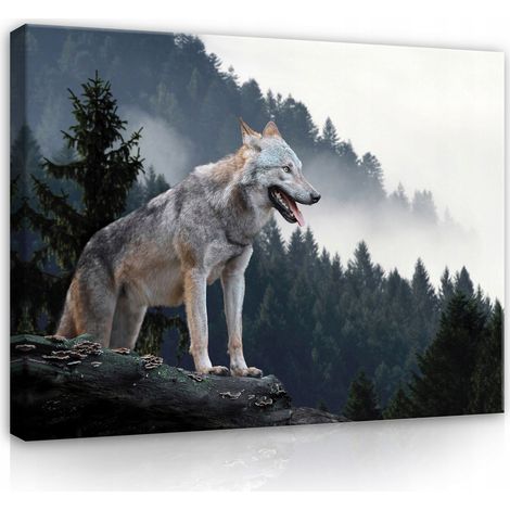 toile loup montagnes fort dans la brume grand 60x40 (1/3)