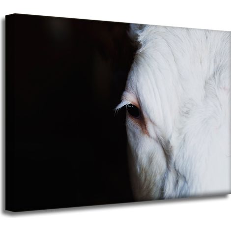 Leinwanddruck „Tiere – Auge einer Kuh“, 40 x 30 cm