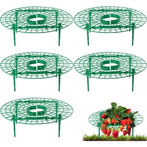 Lot de 5 supports pour fraisiers - Supports ronds pour plantes - Supports pour plantes de jardin - Diamètre 30 cm - Empêchent la pourriture et la saleté - Montage facile - Vert - Pour fraisiers en ple (1/5)