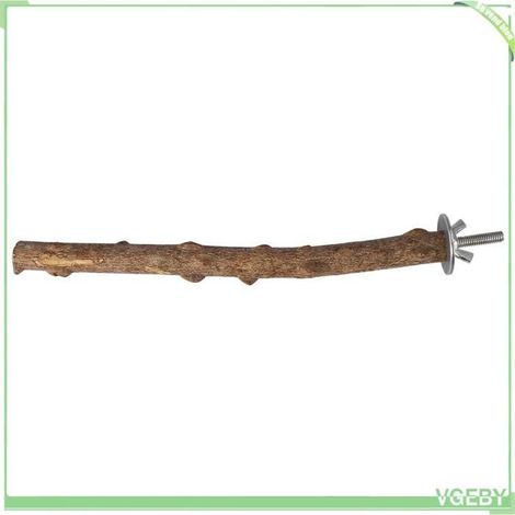 Jouet de perche - FAF EICY - 1,5–2,5×35 cm - Bois naturel (frêne) - Cylindrique - Pour petits perroquets (1/5)