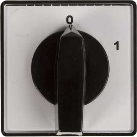 Interruttore a camme 0-1 2P 10A per integrato 4G10-91-U R014 63-840393-011