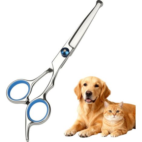 Ciseaux Toilettage Chien Professionnel, Ciseaux Toilettage Chien de Compagnie pour Animaux avec Pointe Ronde de Sécurité Ciseau Droit en Acier pour Chats Chiens et Autres Animaux (1/5)