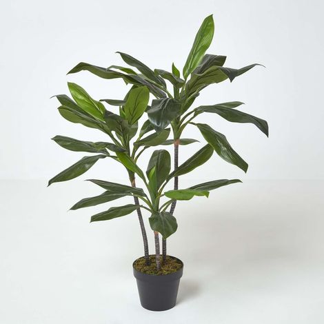 HOMESCAPES Cordyline Fruticosa Kunstpflanze im Topf - 100 cm