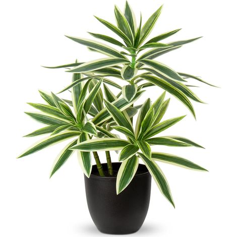 Plantes artificielles de 41 cm en pots noirs - Plante artificielle Dracaena décorative - Fausses plantes en pot réalistes - Plante artificielle d’intérieur pour décoration de maison, salle de (1/5)
