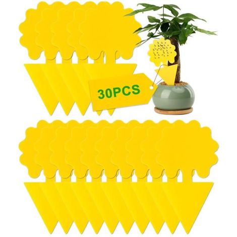 30 Pcs Pièges à Insectes, Anti Moucherons Interieur, Double-Face Étanche Jaunes Attrape Autocollants, Ultra Efficace Non Toxiques (1/5)