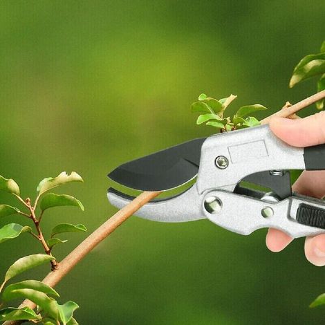 Sécateur à crémaillère, cisaille à enclume, haies, coupe-branches de jardinAec (1/3)