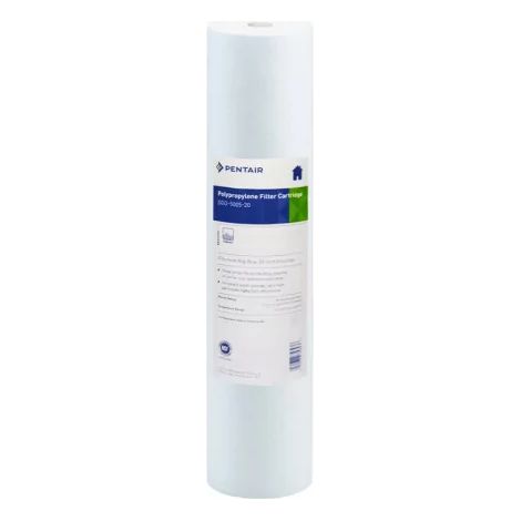 Filtre 20 Pouces Pentair DGD 5005