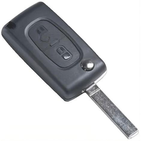Silca GUSCIO CHIAVE AUTO VA2ARS2N  (2 BOTTONI) (1/2)