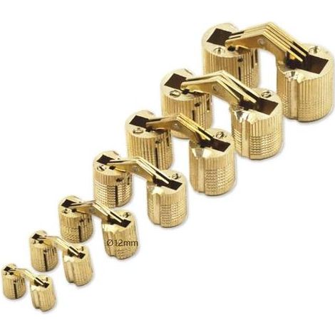 TAISHENGDA - Mini-Zylinderscharniere 12 mm für Schranktürpaneelverbindungen, kleine DIY-Boxen, handgefertigte verdeckte Scharniere in mattem Messing, 180 Grad Öffnungswinkel, 8 Stück (1/5)