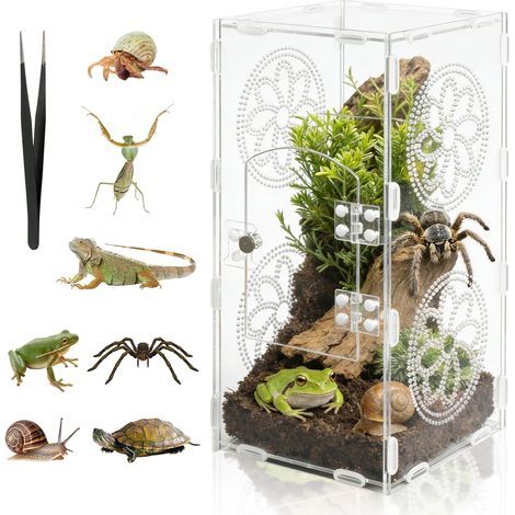 Acryl-Terrarium 30x15x14cm Transparent mit Luftlöchern für Spinnen, Frösche und Echsen (1/5)