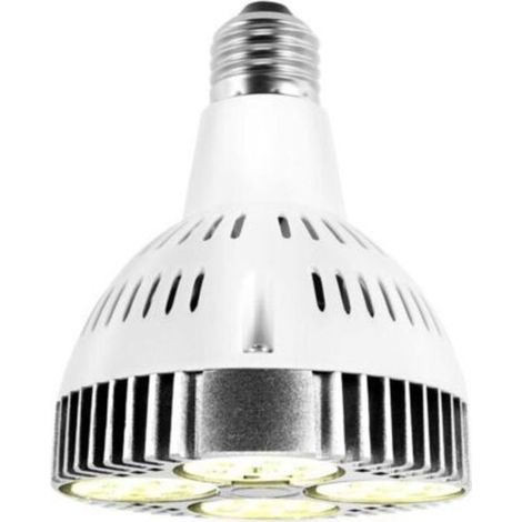 Ampoule LED E27 20W, spectre de croissance des plantes, lumière blanche chaude, pour jardin intérieur et serre (1/4)