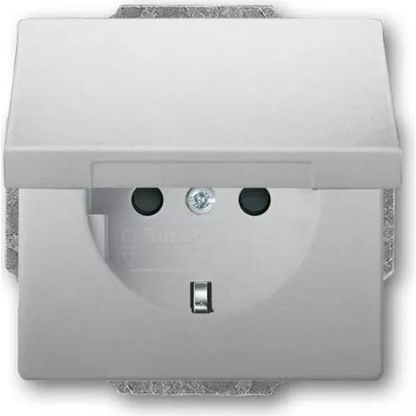 Busch-Jaeger 20 EUKB-866 SCHUKO® Steckdosen-Einsatz mit erh. Berührungsschutz (1/2)