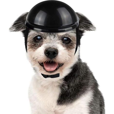 Casque pour chien - Casque de moto rembourré de sécurité pour petits chats, chiens et cyclistes, noir (1/4)