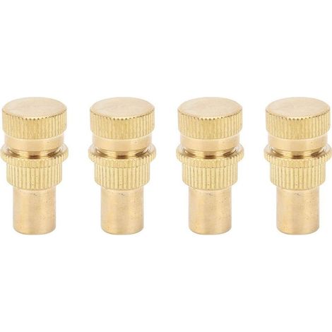 Dégonfleur Automatique de Pneu, 4 Pièces Laiton Outil de Noyau de Valve de Pneu Accessoire de Pneu de Roue Automatique pour Pneus, Voiture, Camion, Moto, et VTT (1/5)