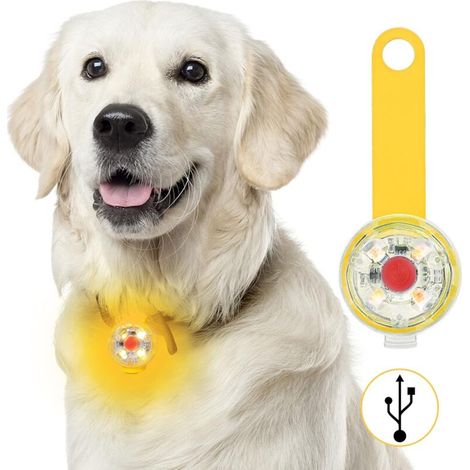 Sécurité LED Clignotant pour Chiens(couleur orange), Chats - Lampe LED Rechargeable USB pour Chien, 3 Modes de Clignotant Lampes de Sécurité Imperméables pour Animaux de Compagnie (1/5)