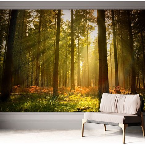Tapete Selbstklebend - Wandtapete modern - Tapete mit Motiv - Tapete Schlafzimmer Waldmorgen 312x219 cm (1/5)