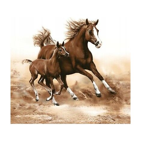 Tovaglioli con motivo cavalli, compleanno, 33x33 cm, 20 pezzi.