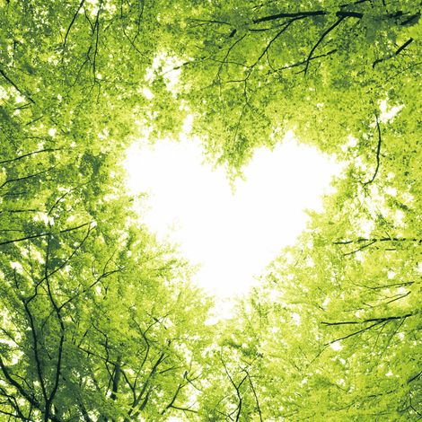 Duni Servietten Nature Love 33 x 33 cm - 20er Pack