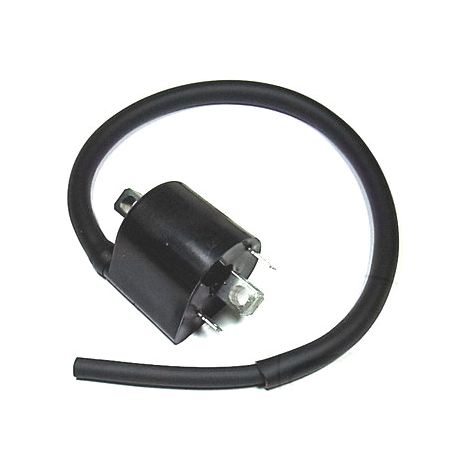 Bobina di accensione anteriore Tourmax da 12V (IGN-310)