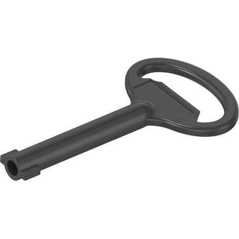 Schneider Electric DOPPELBARTSCHLÜSSEL 5MM METALL (NSYLDB5)