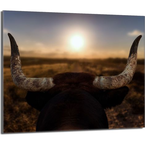 Placa protectora de vidrio para estufa 60x52 Sol (1/5)