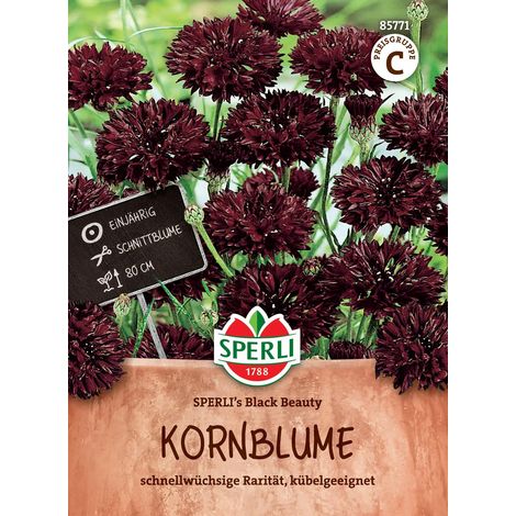 Sperli Kornblumen Black Beauty - Blumensamen (1/2)