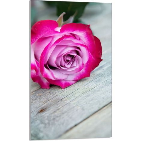 PLANCHE À DÉCOUPER EN VERRE 30x52 Rose (1/5)