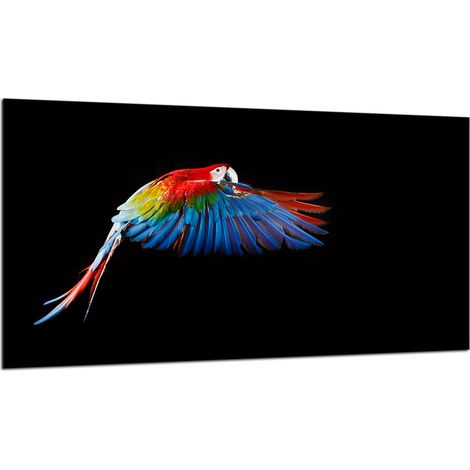 PLAQUE DE PROTECTION EN VERRE POUR CUISINIÈRE 90x52 PARROT (1/5)